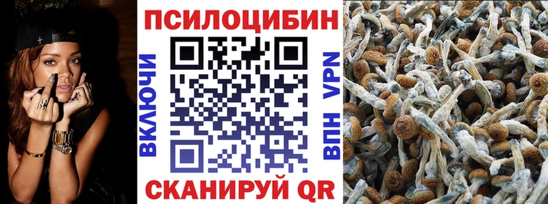 Галлюциногенные грибы прущие грибы  shop телеграм  Полтавская  дарнет шоп 